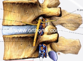 Фораминоскопия