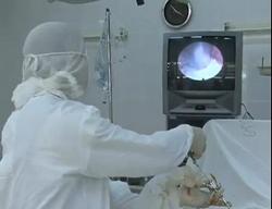 Nik_end.jpg Nik_end.jpg