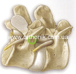 Планирование доступа форам-я2-1.jpg