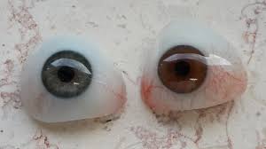 Протез глазного яблока