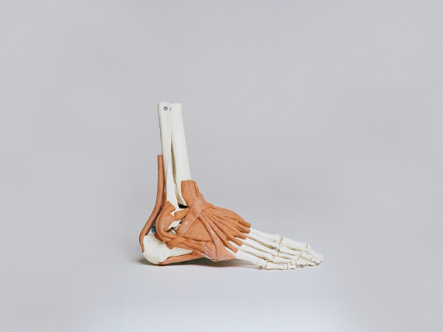 Orthopedic workshop Orthopedic workshop