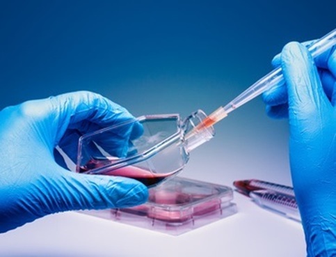 Лечение стволовыми клетками