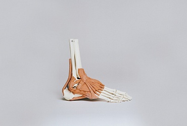 Orthopedic workshop