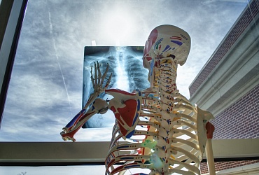 Еndoscopic spinal surgery